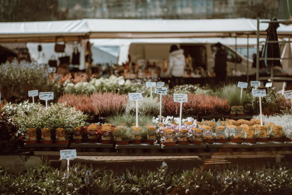 Marché aux fleurs animé avec des étals colorés de plantes et fleurs, étiquettes de prix visibles.