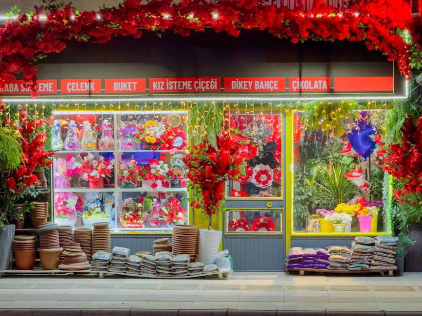 Vitrine colorée d'une boutique de fleurs avec des décorations florales et des pots en terre cuite.